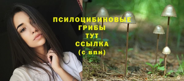 spice Ладушкин