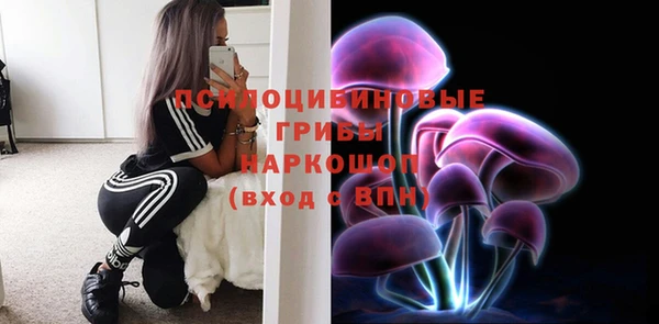 метадон Лагань