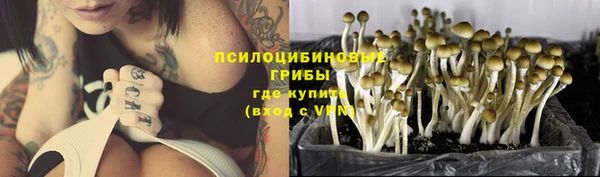 spice Ладушкин