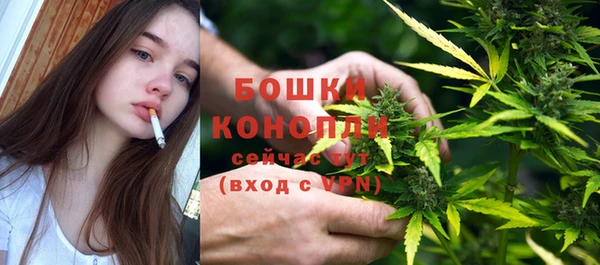 spice Ладушкин