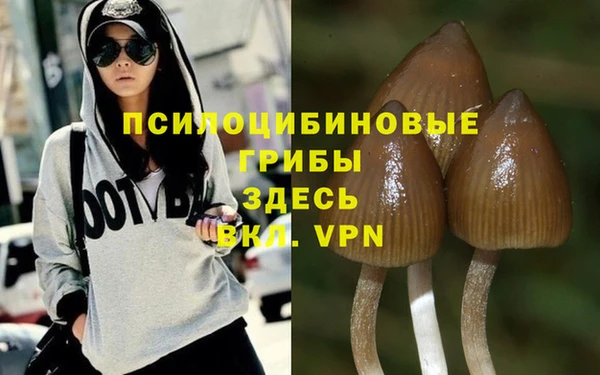 метадон Лагань