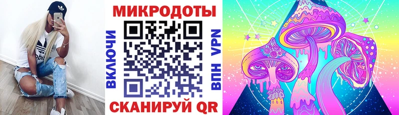 Псилоцибиновые грибы Psilocybe  Купить  Семёнов 